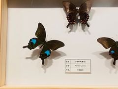 -四川宋瓷博物馆