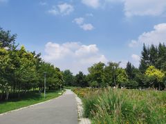 -莫子山公园