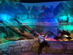 -沈阳海洋探索中心