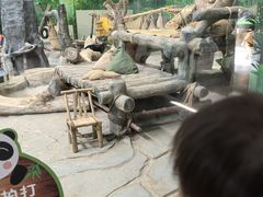 -灵玲国际马戏城