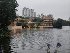 -荔湾湖公园