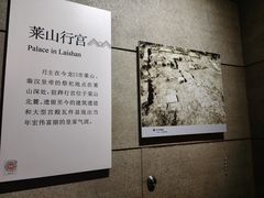 -烟台市博物馆