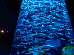 -香港海洋公园