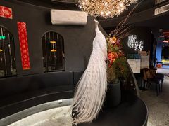 -滇野云南野生菌餐厅(陕西南路店)