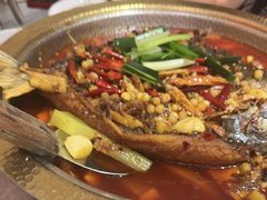 -肥家大排档(天河体育西店)