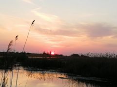-白洋淀景区
