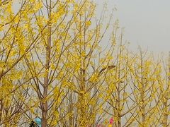 -埃菲尔铁塔