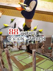 -七巧国萌宠乐园(龙湖天街店)