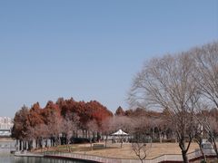 -贡湖湾湿地公园