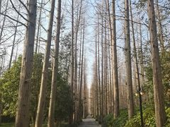 -上海怡沁园度假酒店