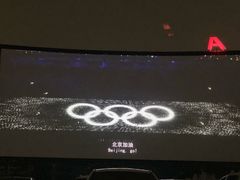 -枫花园汽车电影院(朝阳公园店)