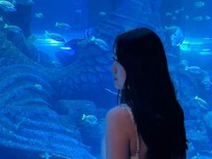 -波塞冬海底世界