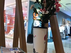 餐具摆设-霸王茶姬(金贸中路店)