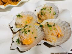 蒜蓉粉丝蒸元贝-强记海鲜·大排档(蛇口新街店)