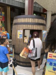 -乐高品牌旗舰店(人民广场店)