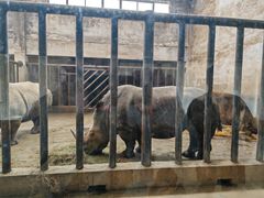 -石家庄市动物园