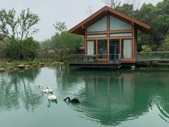 -杭州开元森泊度假乐园