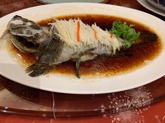 -济南喜来登酒店-采悦轩中餐厅