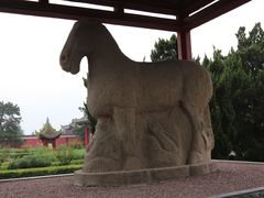 -茂陵博物馆