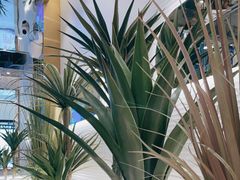 -兰湘子·湘菜小炒(崂山丽达店)