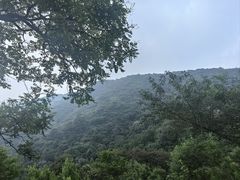 -香山公园