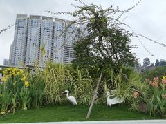 -国际邮轮中心码头(厦鼓码头)