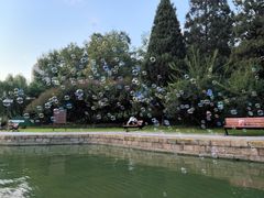 -团结湖公园