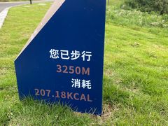 -东钱湖小普陀景区
