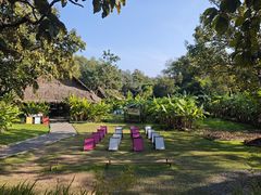 -大象粑粑造纸公园