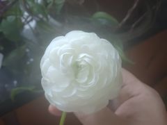 -利顺德大饭店·维多利亚花园(小白楼店)