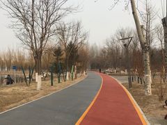 -大兴滨河森林公园