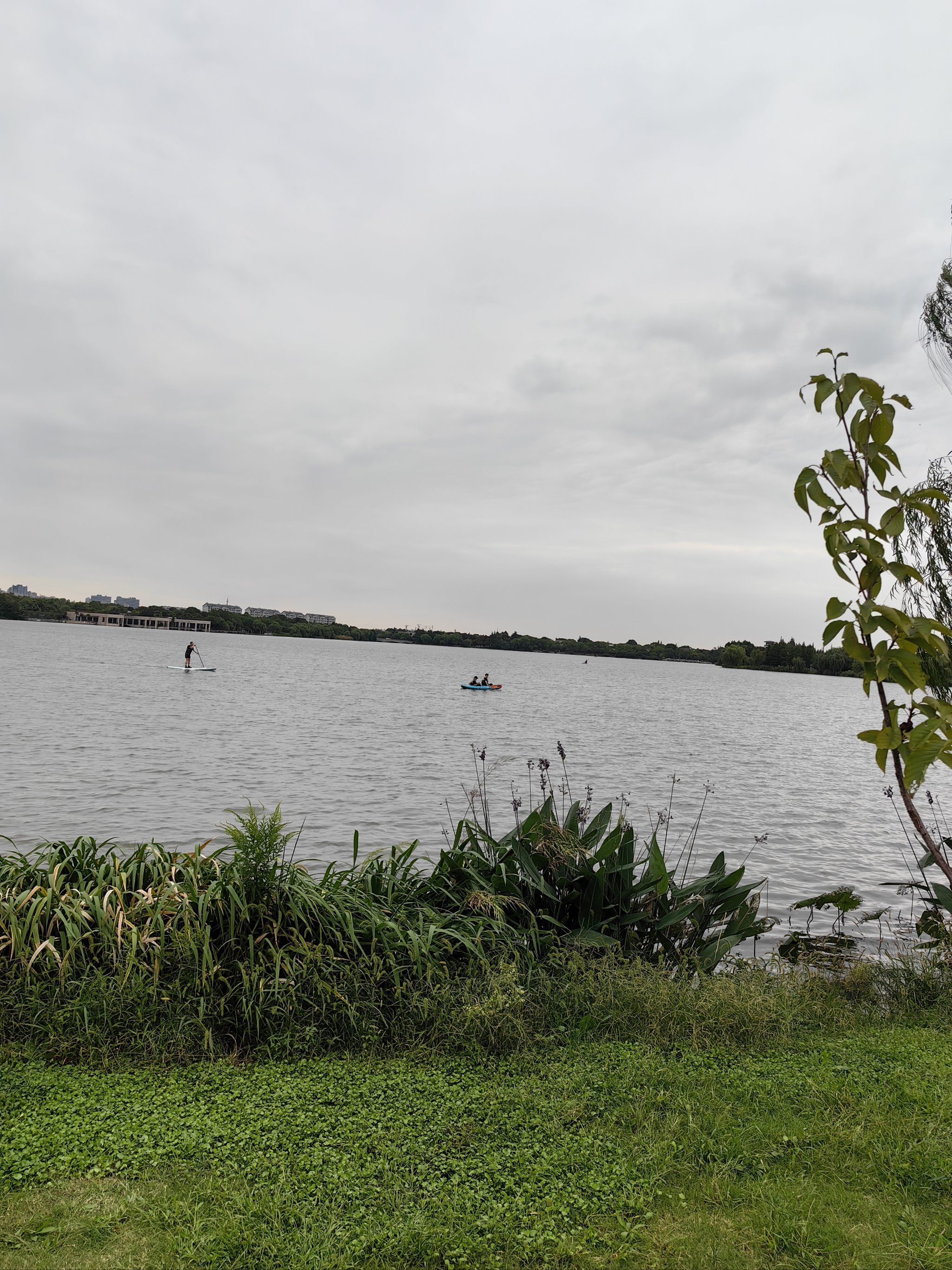 朱家角大淀湖旁的露营地真的是个好地方,湖边吹着湖风