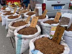 -蒲河大集