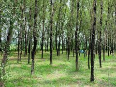 -野鸭湖国家湿地公园