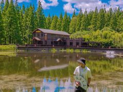 -黄海国家森林公园