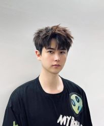-YESIDO椰岛造型