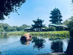 -桂湖森林公园