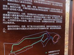 -云岗森林公园
