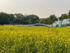 -北陵公园