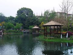-成飞公园