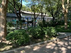 -莲花池公园