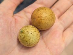 -太琼糟粕醋·海南酸汤火锅(亚龙湾店)