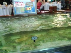 -东江海鲜酒家(艺都分店)