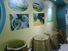 -上海昆虫博物馆