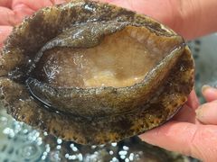 -金沙滩海鲜餐厅·海肠捞饭·手工水饺(梅江龙水园店)