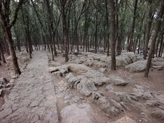 -云龙山
