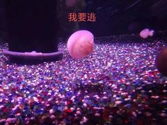 -成都浩海立方海洋公园