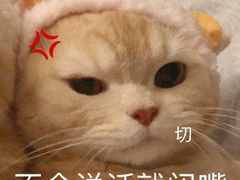 -蜜雪冰城(观音桥步行街店)