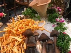 -捞王锅物料理(上海世茂广场店)