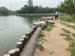 -大兴滨河森林公园